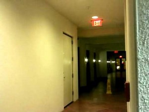 Flying Cockroaches are scary