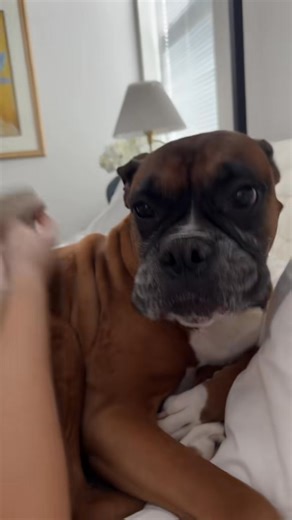 Poppy needs help getting tucked in by mama 🥺🥰 | Princess Poppy