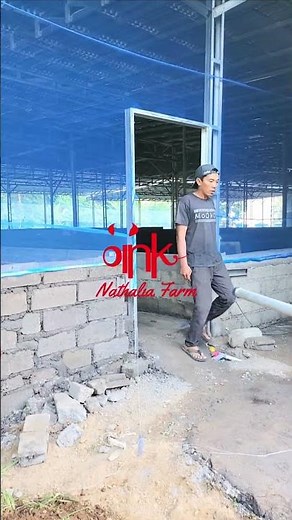 PROSES PEMBANGUNAN PETERNAKAN BABI ORGANIK