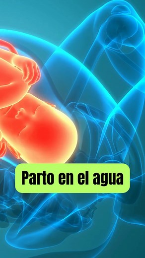 36K views · 340 reactions | Parto en el agua 擄 | Embarazo bebés y maternidad | Facebook