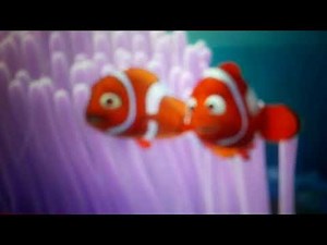 Finding Nemo Part 1