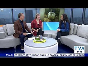 Faouzia - This Mountain + Interview. Live performance