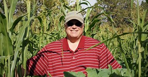 How Did Farmer Brown Bring His Dying Land Back From the Brink?