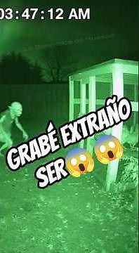 Cámara nocturna captó algo en el gallinero a las 3 AM #fear #unexplained