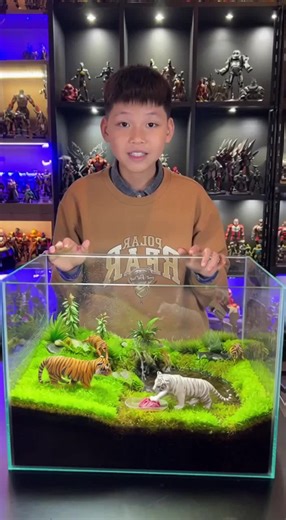 Nuôi thử đàn Hổ Mini để review cho cả nhà đây ạ🤩🤩🤩