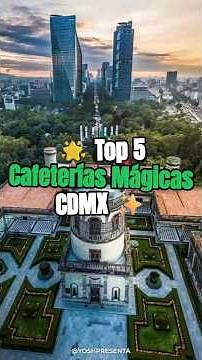 TOP 5 #cafeterías Temáticas #cdmx que DEBES Visitar ✨☕ #cafe