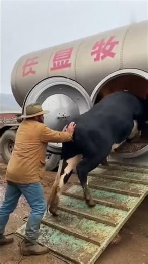 🦾 Future Farming Machines: Cow Breeding Machine! ✨