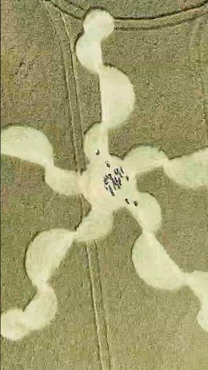 Who made this crop circle? #shorts #cropcircles