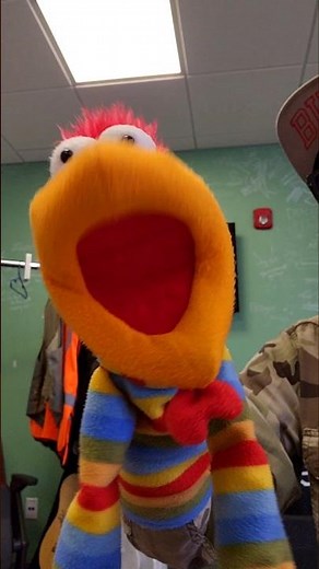 Steve the Puppet Freestyle...#puppet #freestyle #beatbox #rap #comedy #fyp #DMX #silly #lol