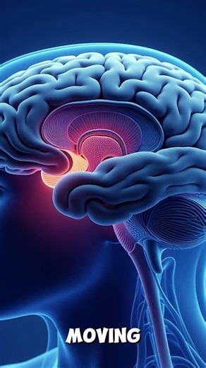 Your Brain Literally Changes When You Read 😳 | Science of Reading #MindHacks #Shorts #ReadingEffects