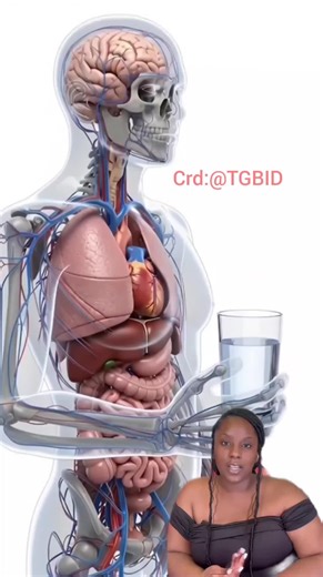 Invincible Media (@invincible_media)’s videos with original sound - Invincible Media