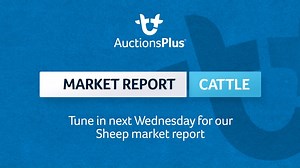 And of course, a new-look weekly Cattle Market Report video... do take a look and let us know what you think! For more on this week's sale results, please head to the following link: http://bit.ly/cattlemarket | AuctionsPlus