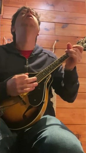 Metallica "Leper Messiah" mandolin riff