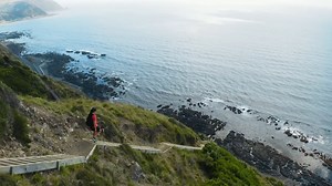 4.5K views · 138 reactions | The Escarpment Track runs between Paekākāriki and Pukerua Bay, offering sweeping views over the Kāpiti Coastline. For more visit - https://bit.ly/3McG2hr | WellingtonNZ | Facebook