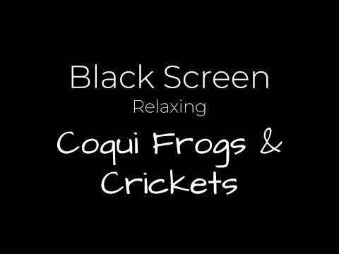 8h of Deep Sleep Ambience | Coqui Frogs & Crickets | Big Island, Hawaii (Cars Fade Out) BLACK SCREEN