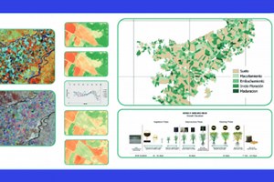 Agriculture & Supply Chain Monitor using Satellite data