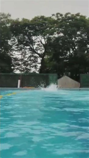 butterfly swimming above and below the water🏊‍♂️ #youtubeshorts #swimming #video #tejendergahlaut