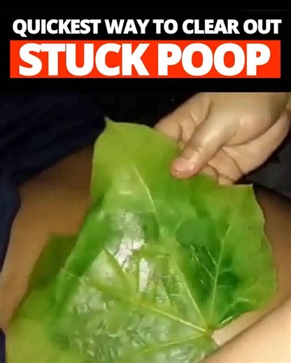 Constipation has nothing to do with how much fiber you eat, how much water you drink, or even what kind of foods you eat. Find out the REAL cause of constipation and other digestive problems – and an all natural way to get relief fast. | Emma