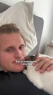 Guy Rescues Random Kitten And Turns Into Ultimate Cat Dad | The Dodo