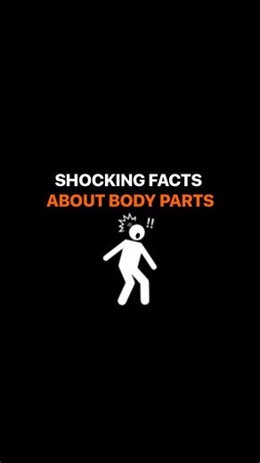 SHOCKING FACTS ABOUT BODY PARTS👇 1. Your belly button is basically an old scar... that can grow over 60 types of bacteria. Congrats, it's a petri dish. 2. Your ears never stop growing-just like your list of regrets. 3. That cracking sound in your joints? Not bones-just tiny gas bubbles. You're basically a human soda can. 4. You lose about 50-100 hairs daily. So yes, your shower drain is judging you. 5. Want more weird truths? Hit follow before your brain forgets! | Psychology Thinks