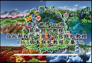 我的世界Java版最新联机教程！合集