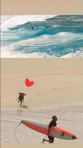 Big-Wave Paddle-Out-In View #hawaii #bigwaves #surf #surfing #eddie #waimea #paddle #beach #ocean