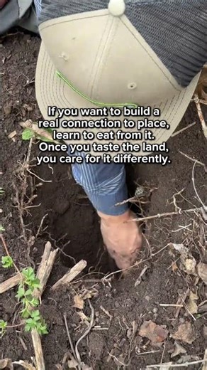 Foraging builds a relationship with the land #foraging #forager #foragedfood