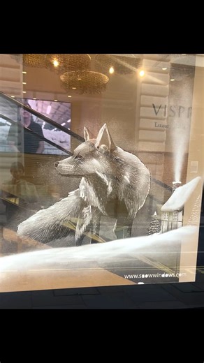 1.2K reactions · 143 shares | The fox with snow spray | Snow Windows | Facebook