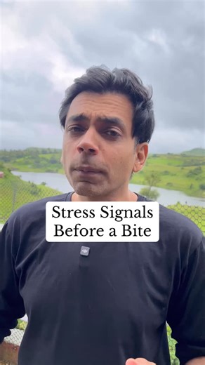 38K views · 129 reactions | Learning dog psychology can create harmony between humans and dogs. Why we should understand dog psychology? Because dogs are part of our environment, if kids start to learn about them then the future generation surely will be more compassionate. Dogs are not just cute or aggressive, their way of life give deep lessons of joy, happiness, struggle and confidence. | Oh My Dog | Facebook