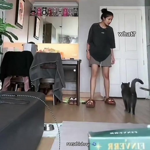 Aoom and Bombay talking 😂#Aoomtwp #อุ้มทวีพร #อุ้มทวีพรพริ้งจํารัส #mgt2023 #catsoftiktok #missgrandthailand #fyp #fypシ゚ #viral #fyptiktok