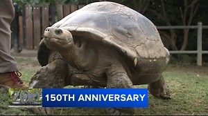 The Philadelphia Zoo celebrates 150th anniversary as the first zoo in America