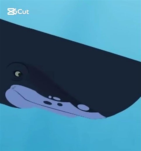 (Wild Kratts 2011) Sperm Whale's Wail 🐳🔊