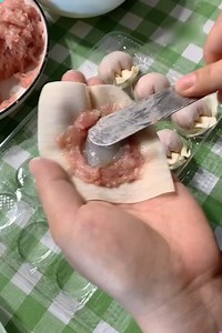 27K views · 103 reactions | 寧 Mastering the Art of Wonton Wrapping! ✨ #wontonwrapping #dumplingart #chinesefoodlove #handmadewontons #culinaryskills | Creative Inspiration For You | Facebook