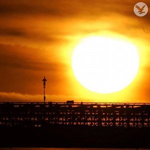 Gorgeous sunset captured over New York City through the Brooklyn Bridge | Independent US