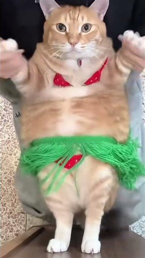 Jungle Meow - Tarzan Cat’s Wild Adventure 🐱