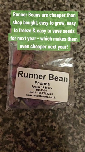 OK so runner beans are a perfect example of what you can grown in the UK for cheaper, - They are perfect for beginners! They are easy to grow, easy to freeze and easy to get seeds for the following year. Not too mention 0 food miles and the freshest you can get! #runnerbeans #growyourownfood #growyourownvegetables #veggrowingforbeginners