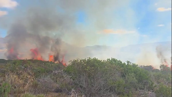 #fynbos #renosterveld #wildfiresafe #wildfireready #wildfire #firesafety #fireresearch #incidentmanagement #fireengineering #wildfiremanagement | Vulcan Risk Solutions (Pty) Ltd