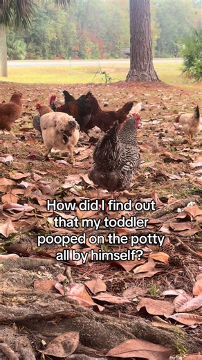 Proud Toddler Poops on the Potty: A Mom's Perspective