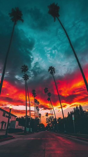 Jason Derulo ft Tesher - Jalebi Baby 🔥🔥🔥 #jasonderulo #jasonderulochallenge #jasonderulofan #tesher #tesherchallenge #tesherfan #jalebibaby #jalebibabychallenge #song #music #musica #musically #tiktok #tiktokviral #tiktokviralvideo #tiktokviraltrending #tiktokmalaysia #tiktokindonesia #lyrics #lyricsvideo #lyrics_songs #malaysia #malaysiatiktok #indonesia #indonesiatiktok #fyp #fypシ #fypage #fypシ゚viral #trending #trendingsong #trendingvideo