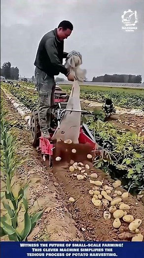 Potato Harvesting Machine Innovation for Small-Scale Farm Efficiency