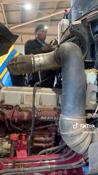 Exploring Road Trains in Australia: A Cattle Hauler's Journey