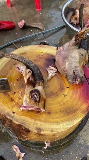 Mastering the Cleaver: Goat Head Cutting Tutorial 834 #bison #butcher #goat #shorts