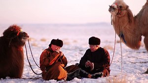 Sarantuya - Tal nutgiin duu | Mongolia Live