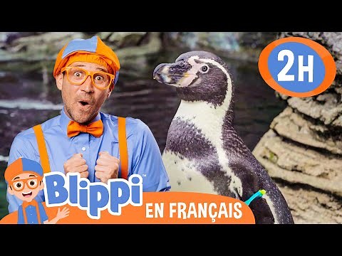 La chanson du pingouin | | Blippi en français | Vidéos éducatives pour enfants