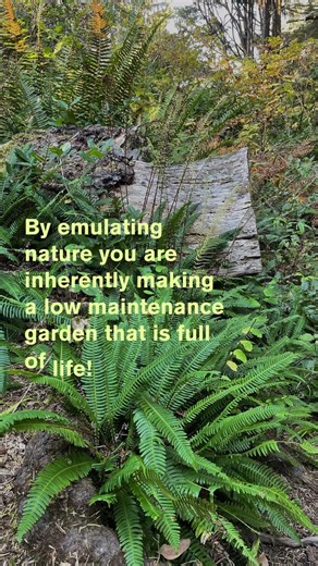 How to Create Habitat Gardens and Invite Birds and Pollinators!