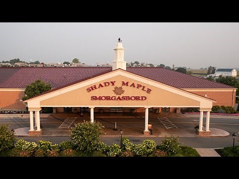 The Story of Shady Maple