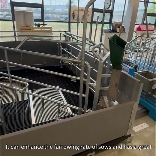 Environmentally friendly easy to install pig farming equipment pig farrowing crate--Hengyin