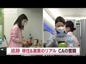 “移住＆兼業”現役CAの奮闘 「製茶店」「銀行員」に…地方では“別の顔”【Jの追跡】(2023年1月21日)