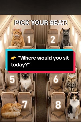 Life gives us more choices than we realise. Not always the obvious ones - but the quieter ones. Who we sit next to. What we tolerate. Where we place our energy when no one is watching. Some days we choose closeness. Some days we choose distance. Some days we choose comfort over noise. Those choices don’t define who we are - they reveal what we need. And sometimes the most important shift isn’t changing everything, but remembering that you’re allowed to choose differently as your life changes. So