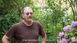 212K views · 58 reactions | Den Haag deelt weer bomen uit!  Voor...